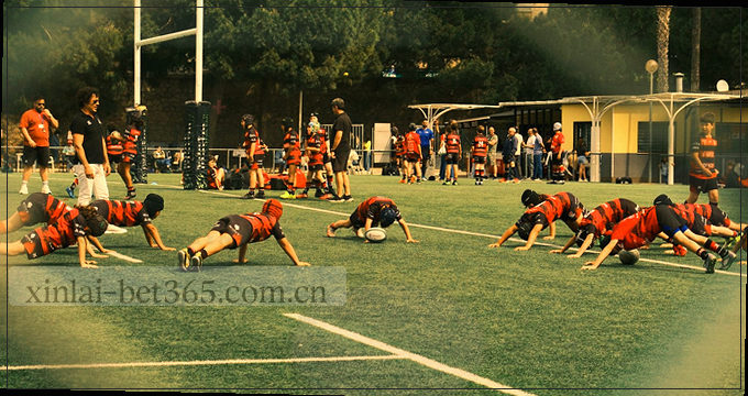 AI趋势雷达图 聚焦前沿技术动态
